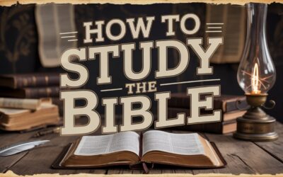 A Biblical Examination on How to Study the Bible Properly