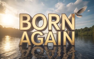 A Complete Bible Study on Being Born Again