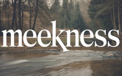 A Complete Bible Study on Meekness