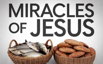 A Bible Study on the Miracles of Jesus