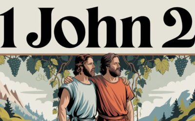 A Complete Bible Study on 1 John 2 A Self-Examination