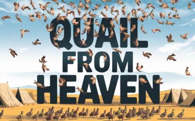A Bible Study on Quail from Heaven