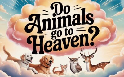 A Bible Study on Whether Animals Go to Heaven