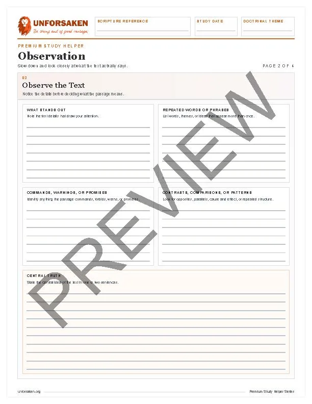 Premium Study Helper: Verse Mapping Workbook - Image 3