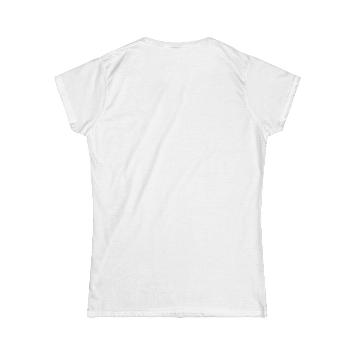 Thankful for This County. Praying for Its Future. | Women's T-shirt - back