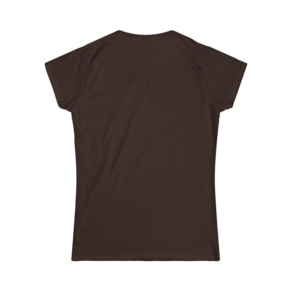 Thankful for This County. Praying for Its Future. | Women's T-shirt - back