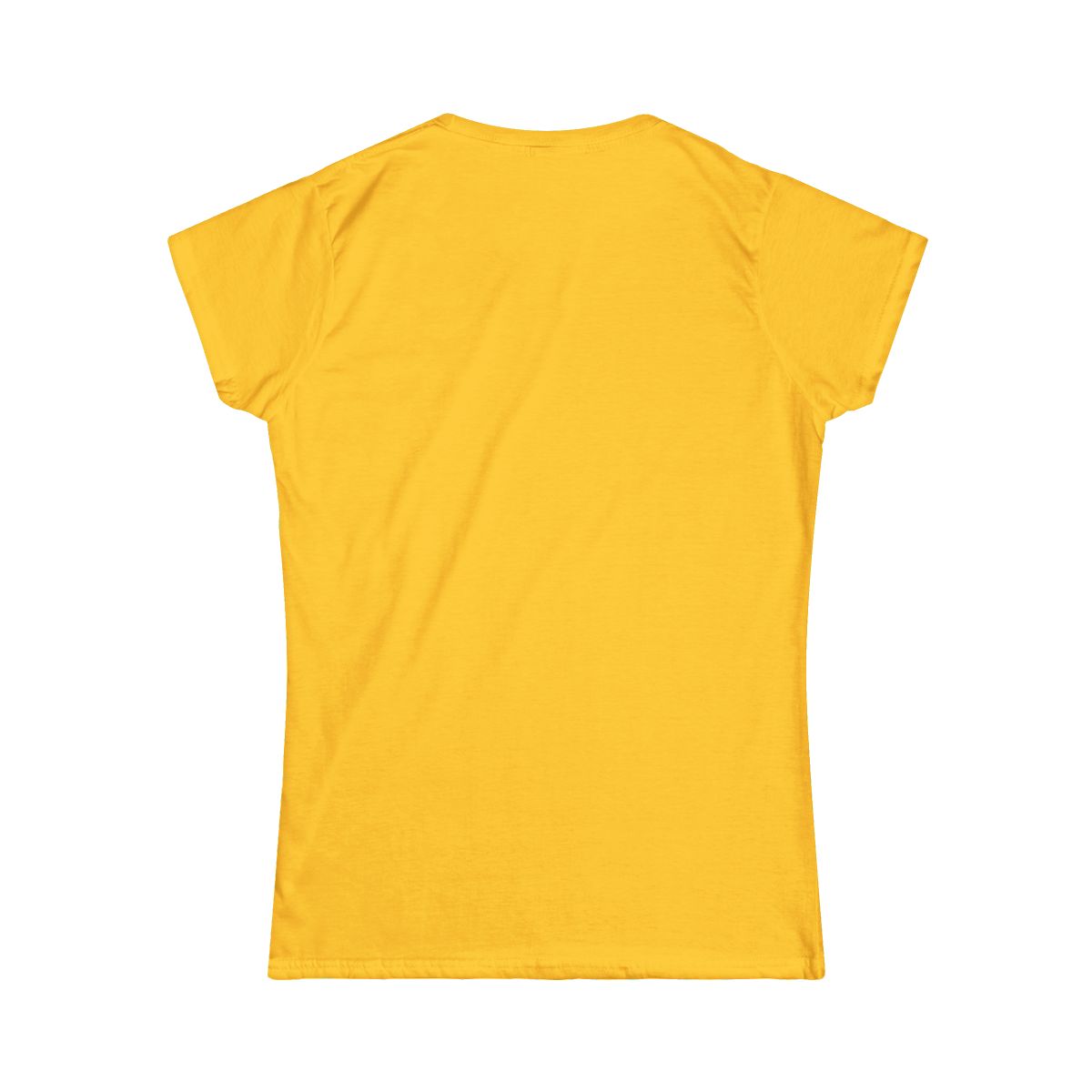 Thankful for This County. Praying for Its Future. | Women's T-shirt - back